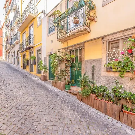 Apartment Guestready - Amazing And Very 1bdr Lisbon